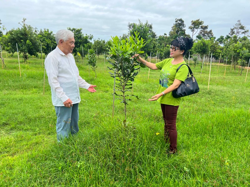không xác định